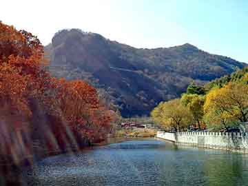 新澳天天开奖资料大全旅游团，黎明液压有限公司